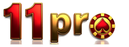 11pro
